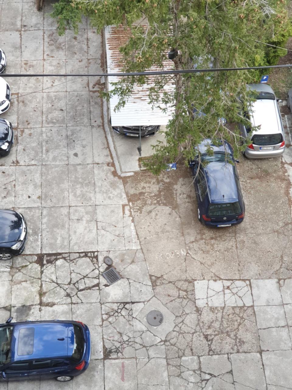 Dream Apt With Parking Beograd Eksteriør billede