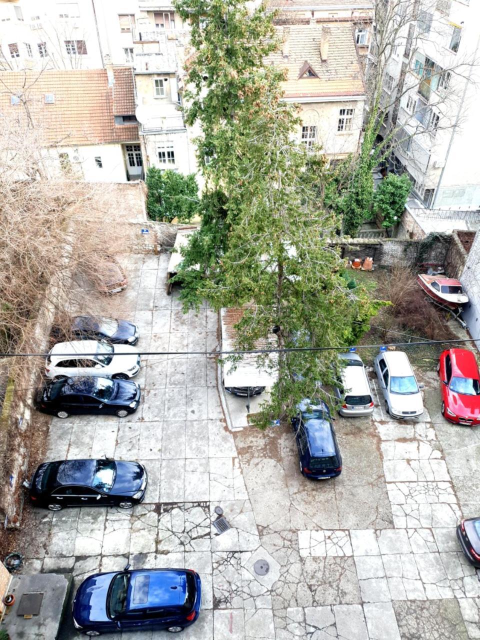 Dream Apt With Parking Beograd Eksteriør billede